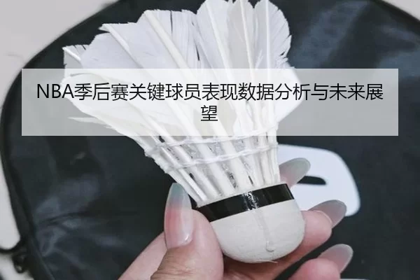 NBA季后赛关键球员表现数据分析与未来展望
