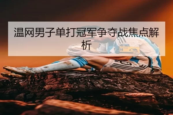 温网男子单打冠军争夺战焦点解析